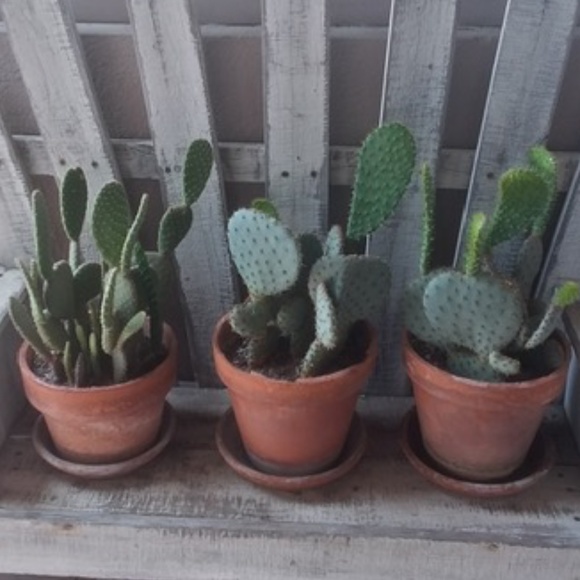 Brighton Woven Bag - Picture 6 of 6